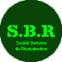 sbr Logo